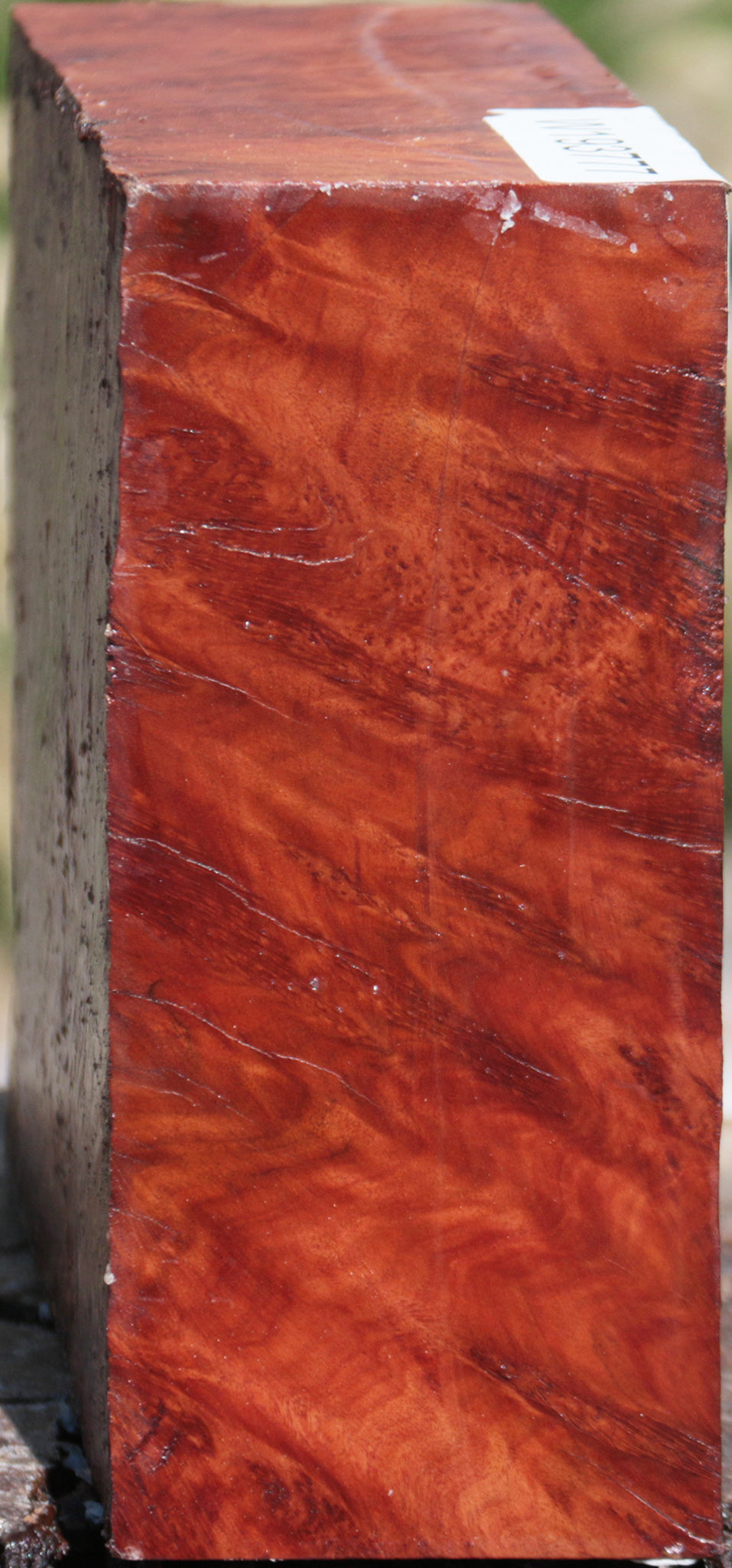 Extra Fancy Red Coolibah Burl Bowl Blank