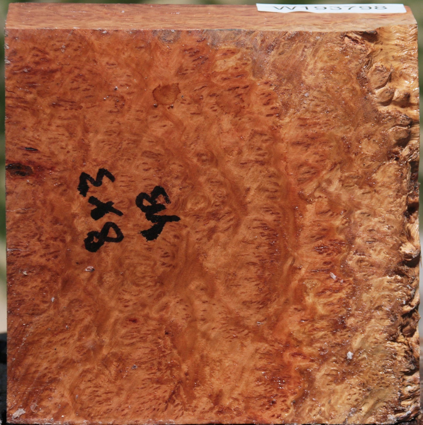 Exhibition Yellowbox Burl Bowl Blank