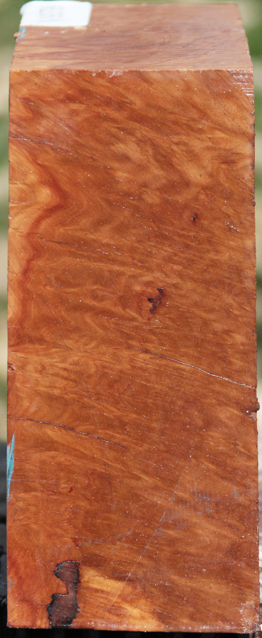 Exhibition Yellowbox Burl Bowl Blank