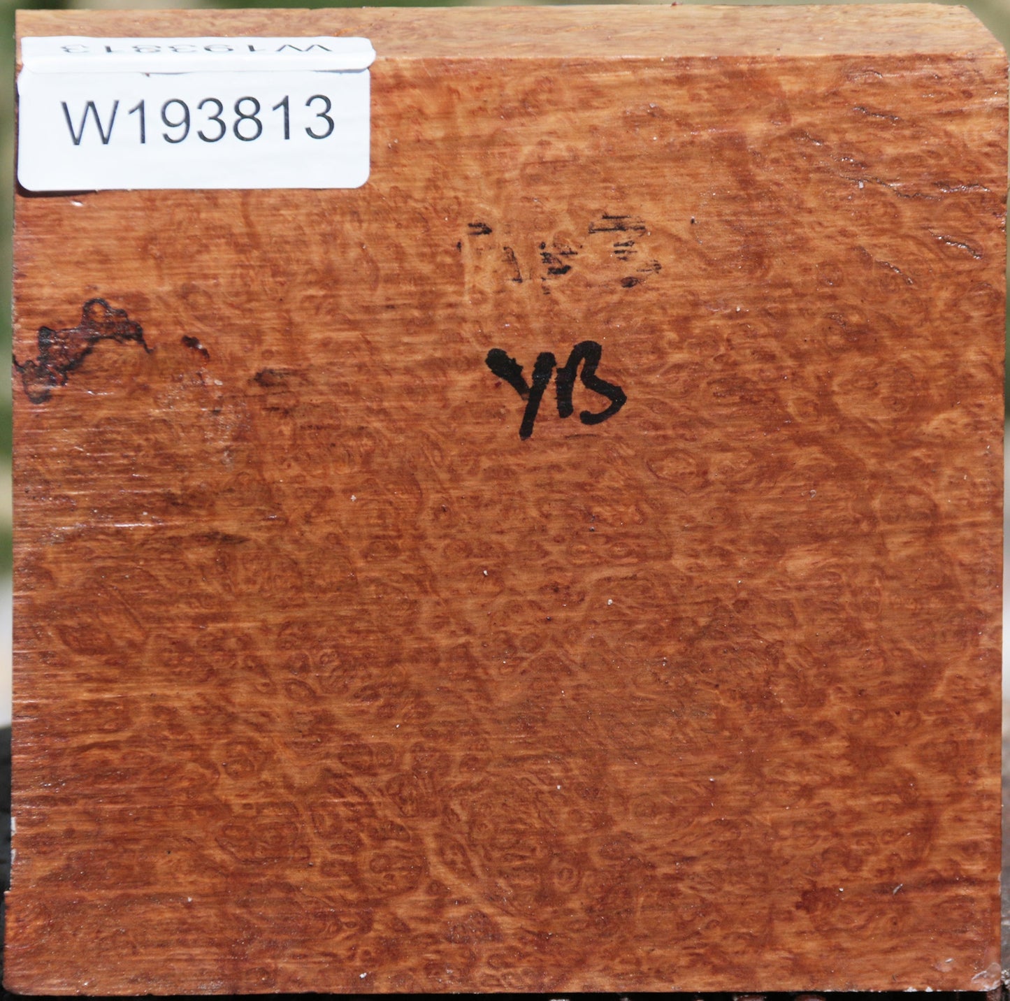 Exhibition Yellowbox Burl Bowl Blank