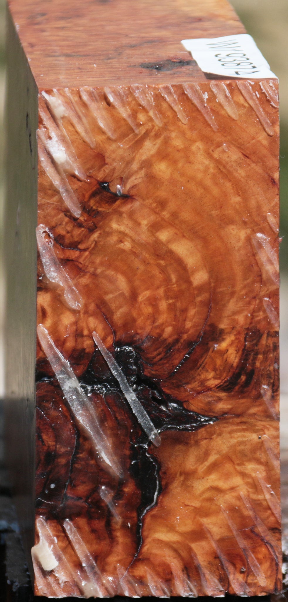 Extra Fancy Brown Mallee Burl Bowl Blank