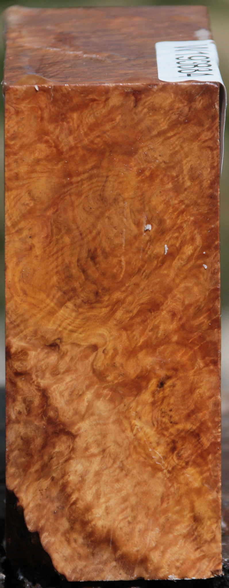 Extra Fancy Brown Mallee Burl Bowl Blank