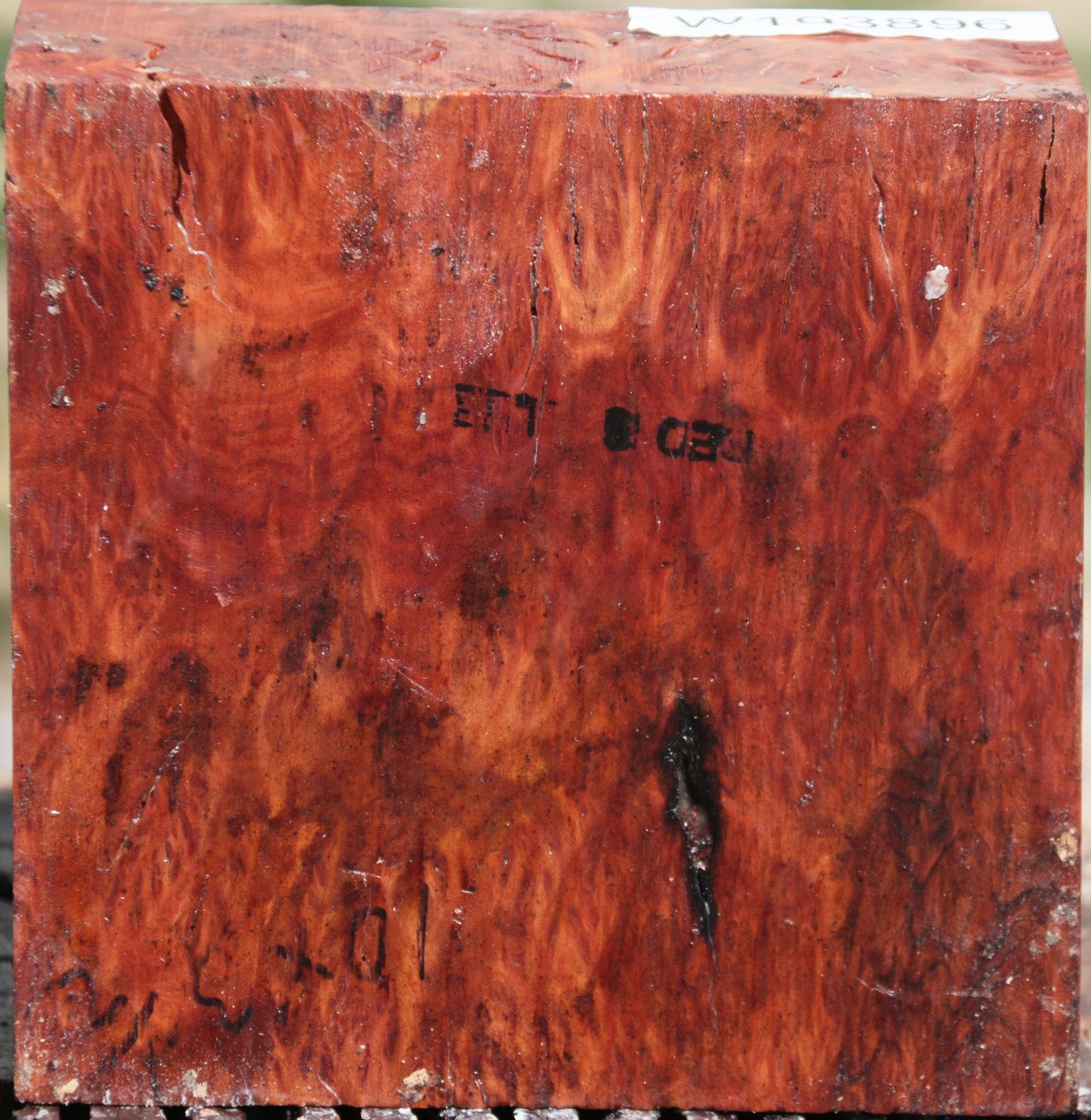 Extra Fancy Red Mallee Burl Bowl Blank