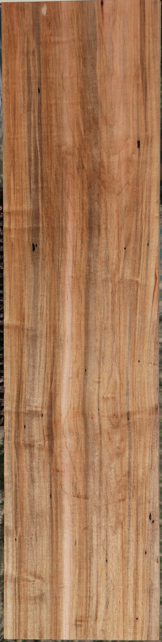 Extra Fancy Ambrosia Maple Lumber
