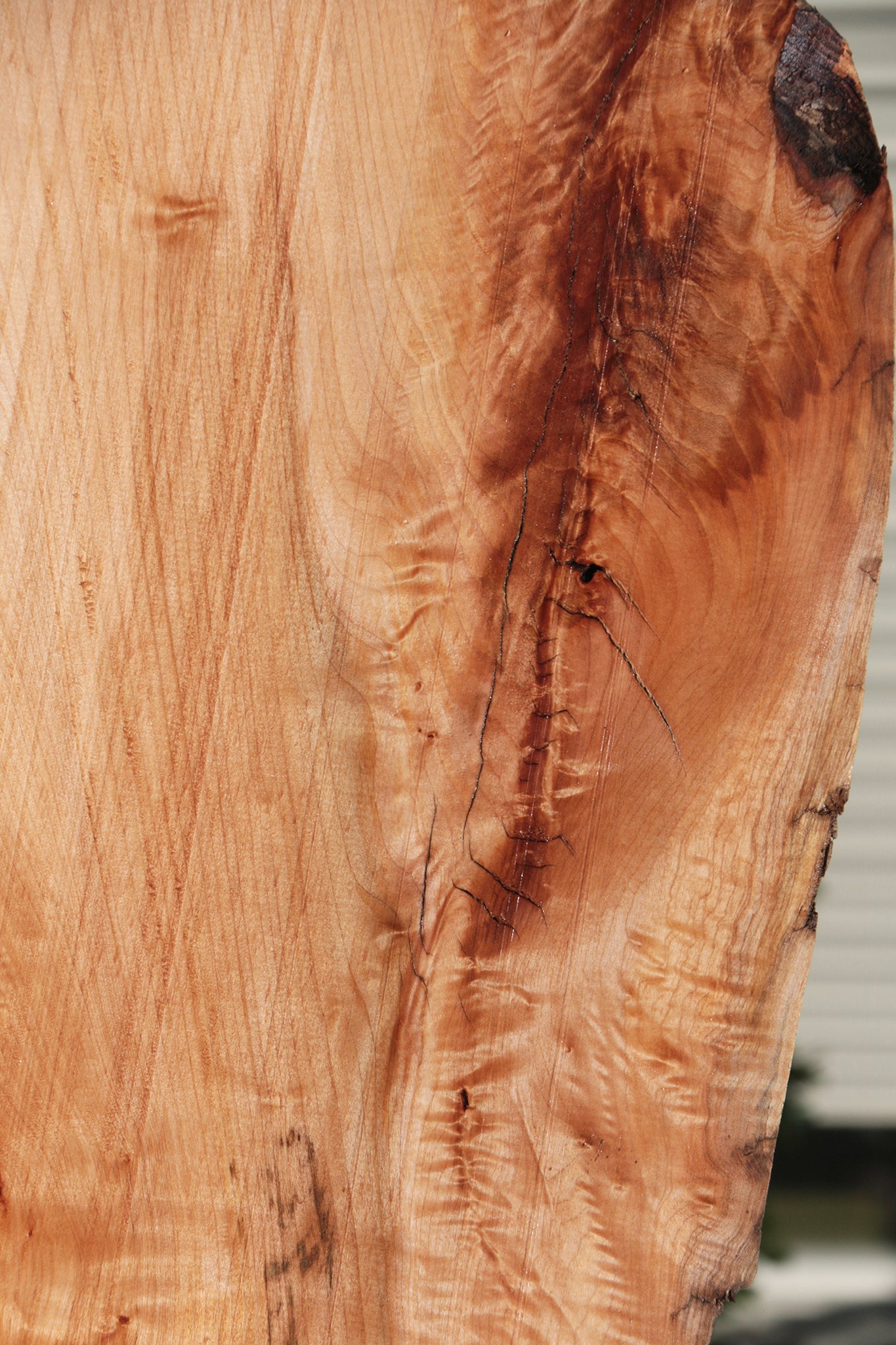 Western Maple Live Edge Lumber