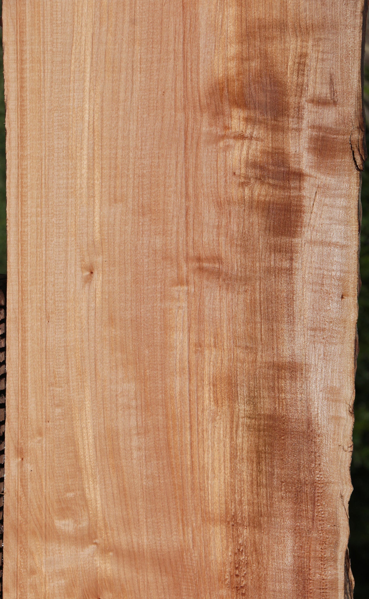 Western Maple Live Edge Lumber