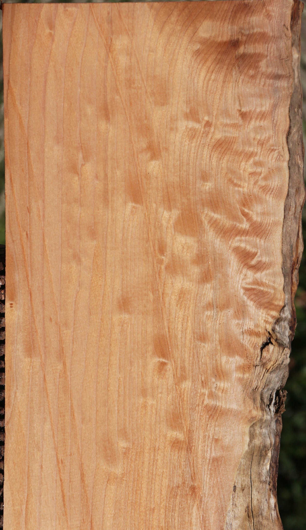 Western Maple Live Edge Lumber