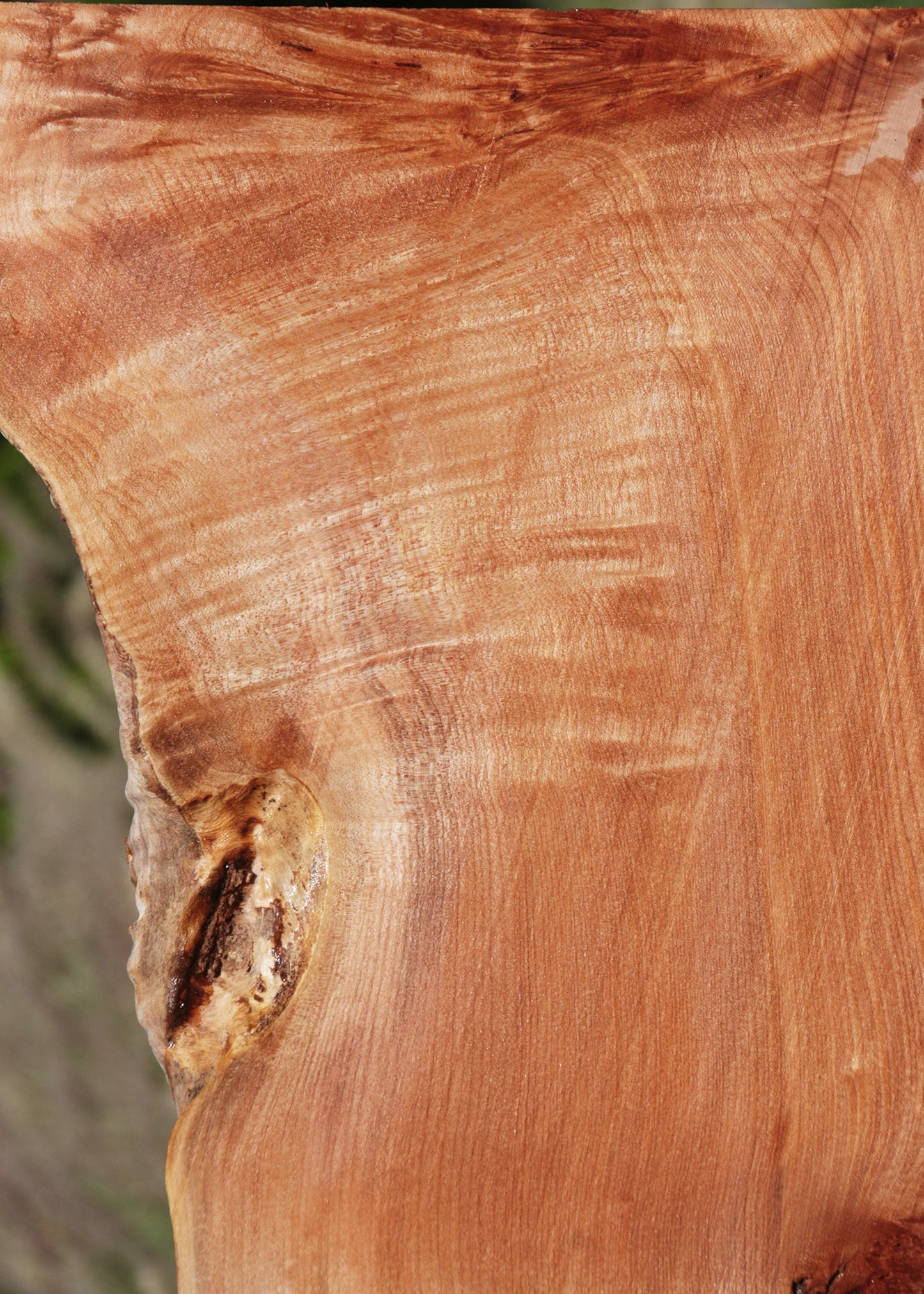 Western Maple Burl Live Edge Lumber