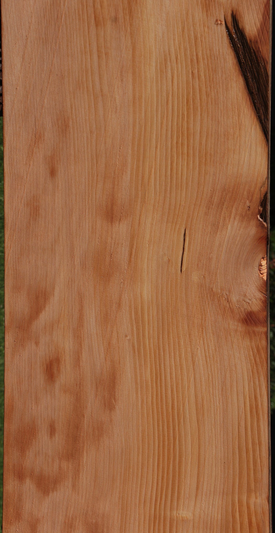 Sitka Spruce Slab (Free Shipping Excluded)