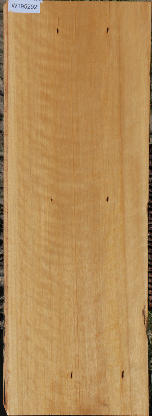 Jelutong Lumber