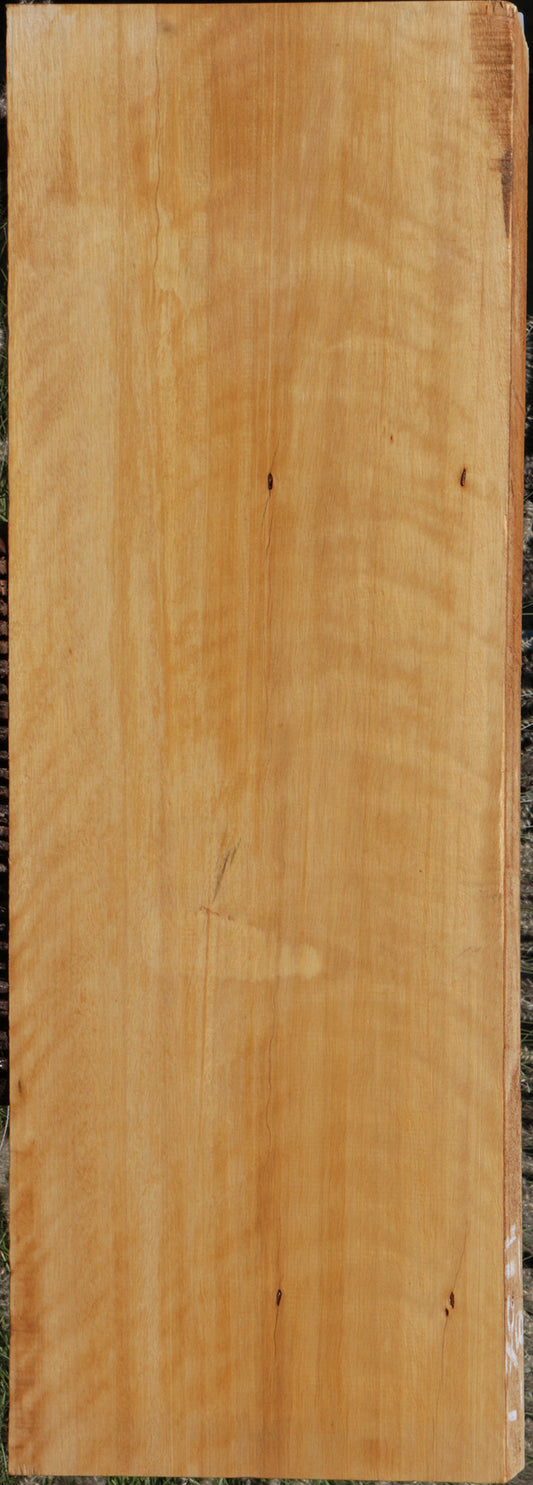 Jelutong Lumber