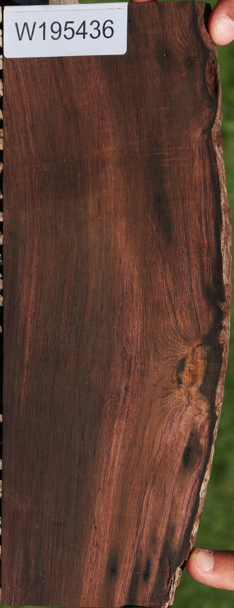 Brazilian Rosewood Live Edge Micro Lumber