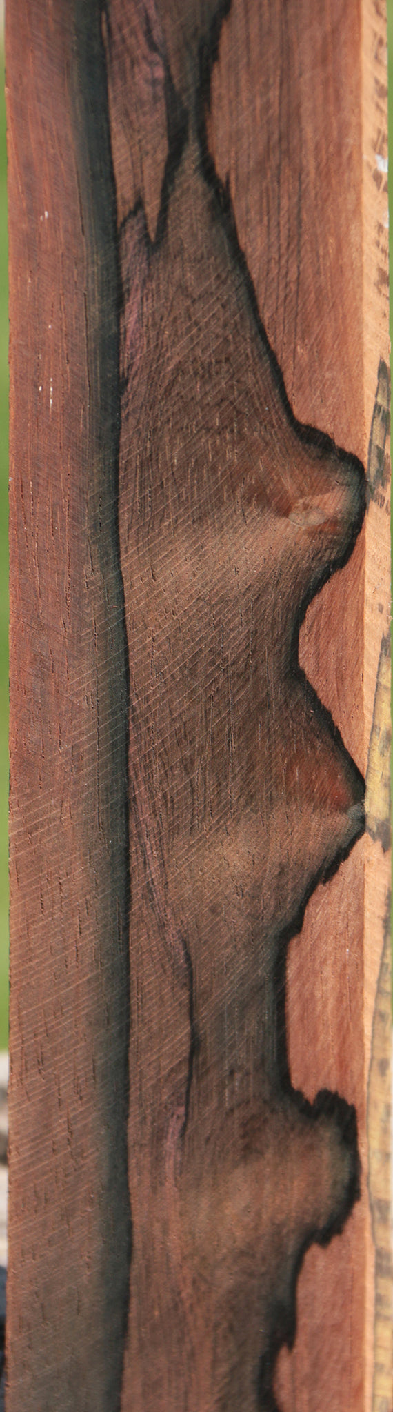 Brazilian Rosewood Lumber