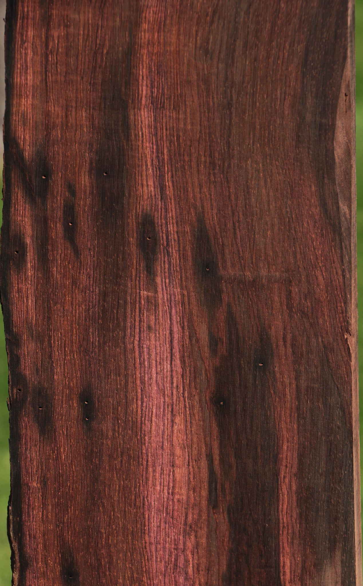 Brazilian Rosewood Live Edge Lumber