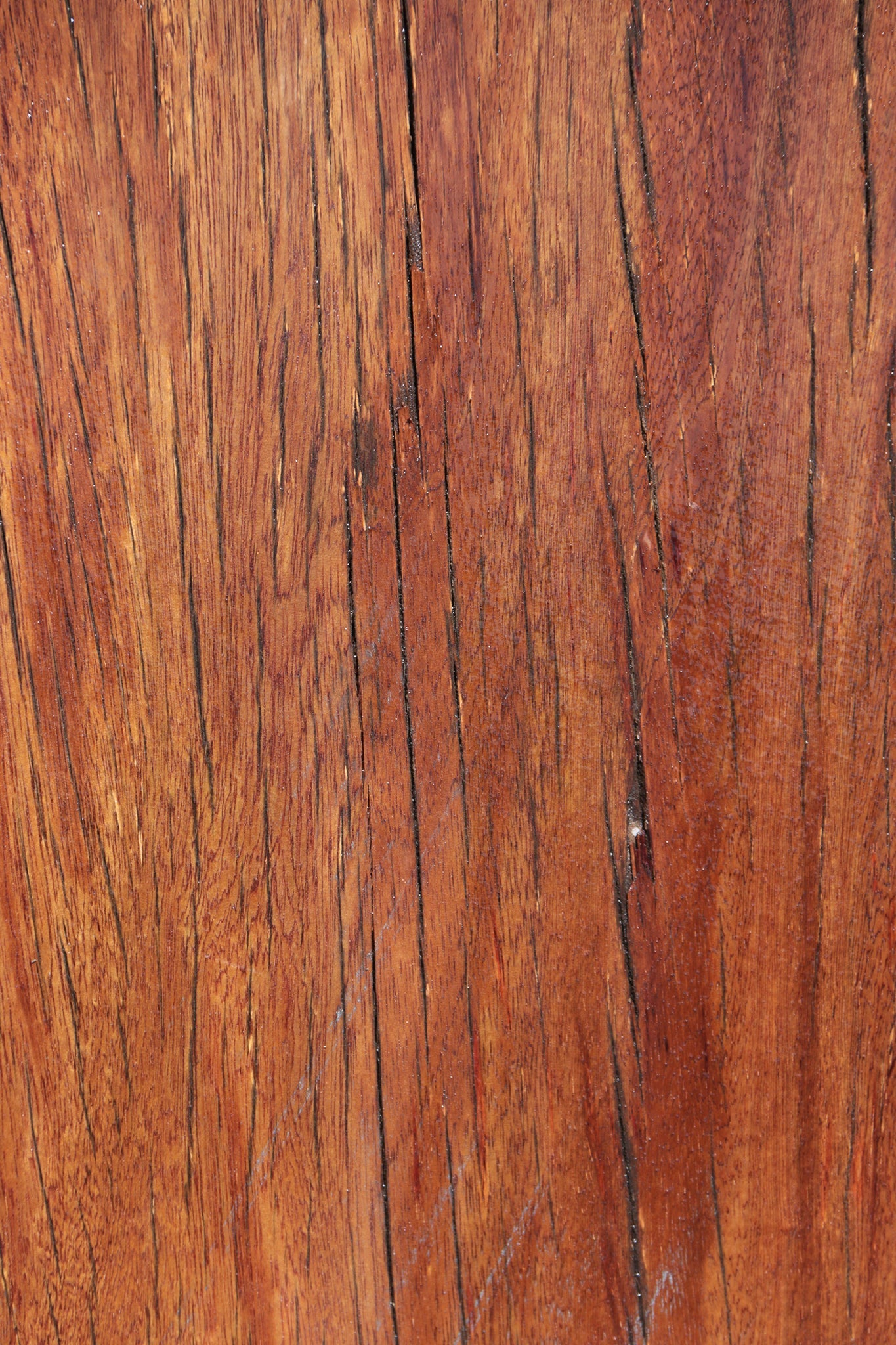 Rustic Angelique Live Edge Slab