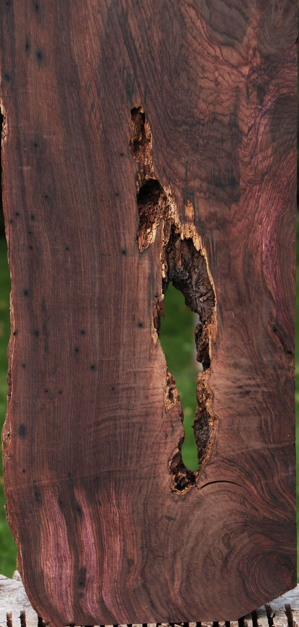 Rustic Brazilian Rosewood Live Edge Lumber