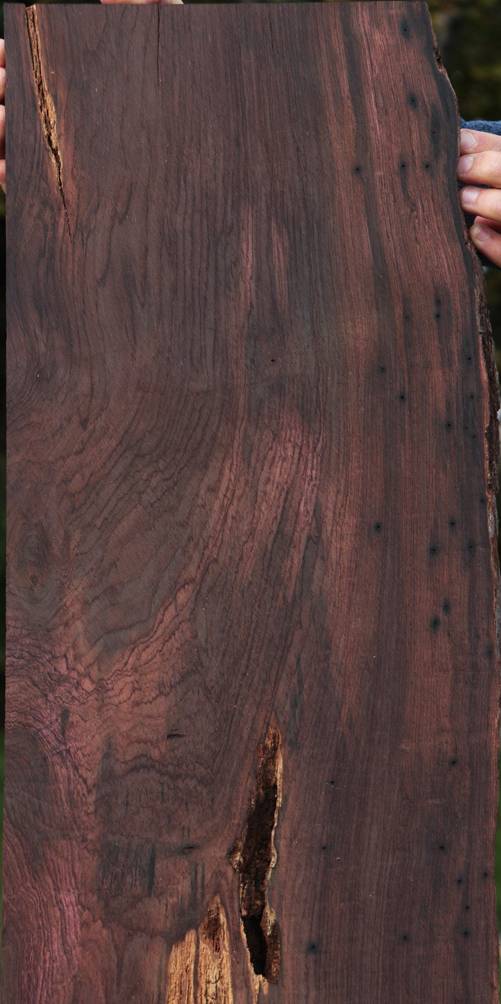 Rustic Brazilian Rosewood Live Edge Lumber