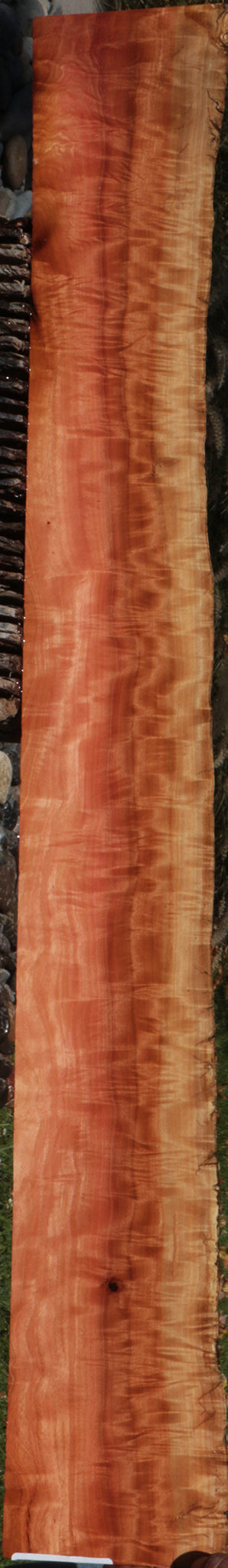 Exhibition Pink Ivory Live Edge Micro Lumber