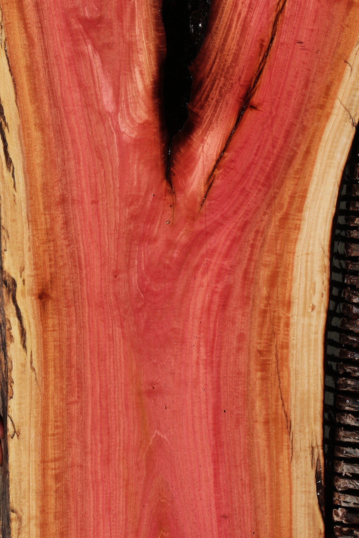 Rustic Pink Ivory Live Edge Lumber