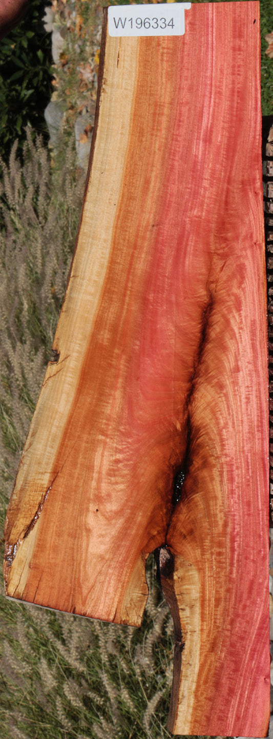Rustic Crotchwood Pink Ivory Live Edge Lumber