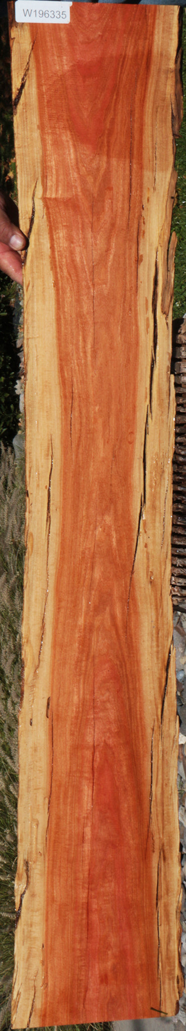 Rustic Pink Ivory Live Edge Micro Lumber