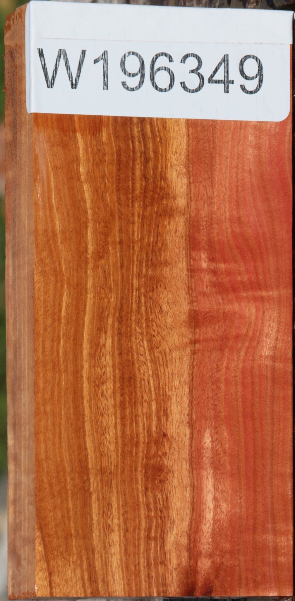 Extra Fancy Pink Ivory Lumber