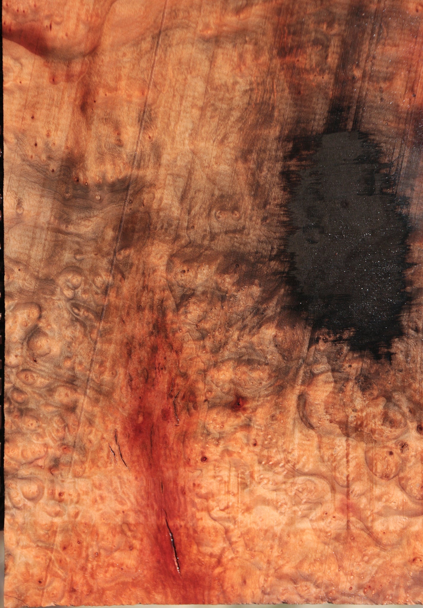 Madrone Burl Lumber