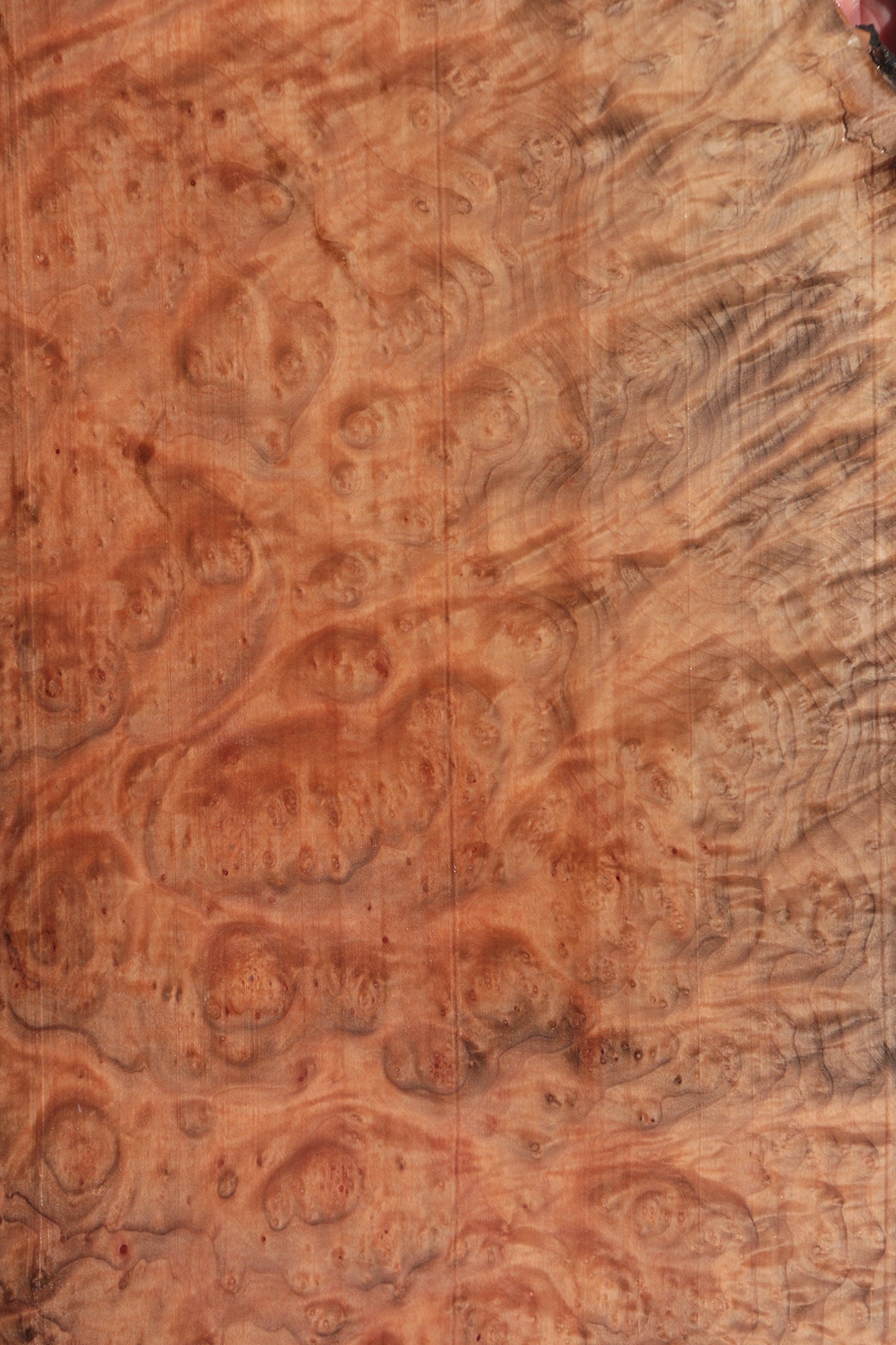 Madrone Burl Lumber