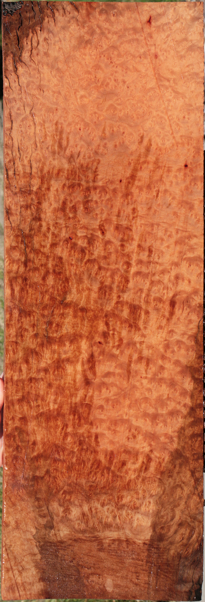 Madrone Burl Lumber