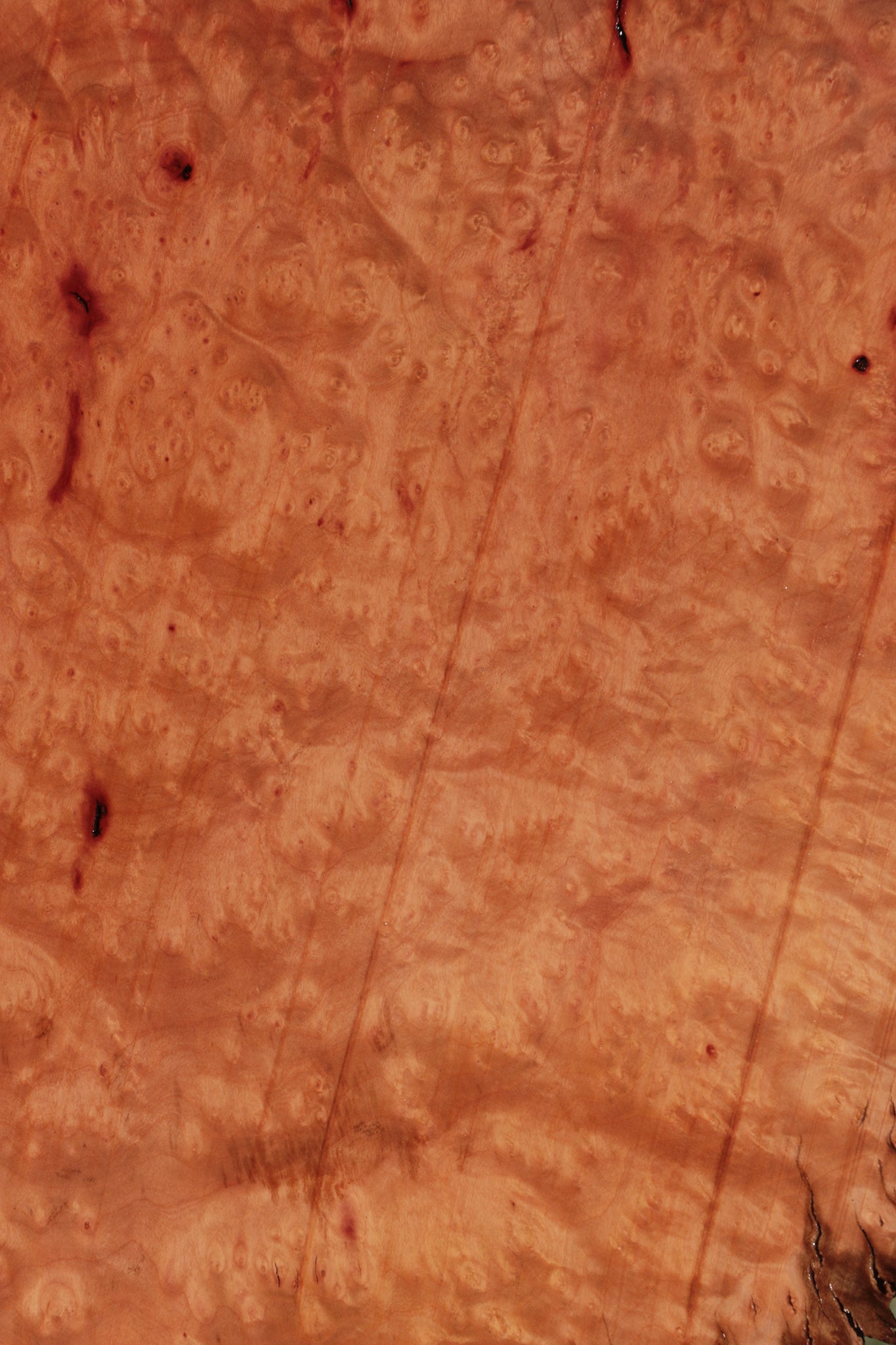 Madrone Burl Live Edge Lumber