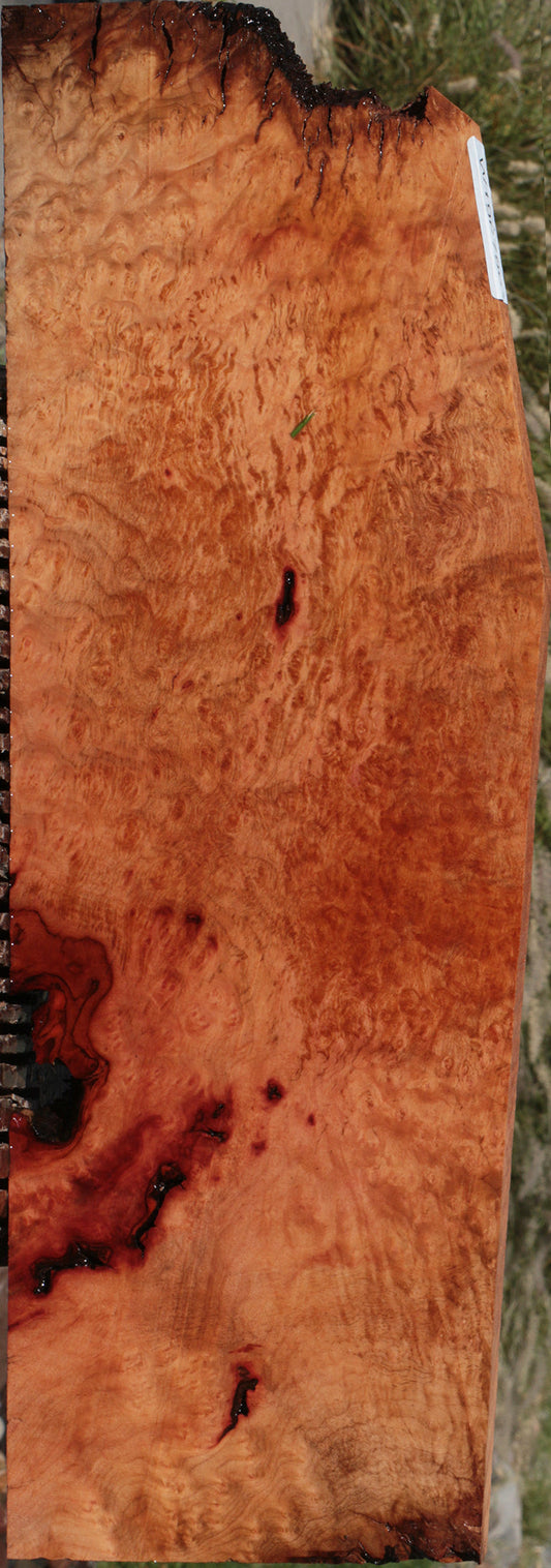 Rustic Madrone Burl Lumber