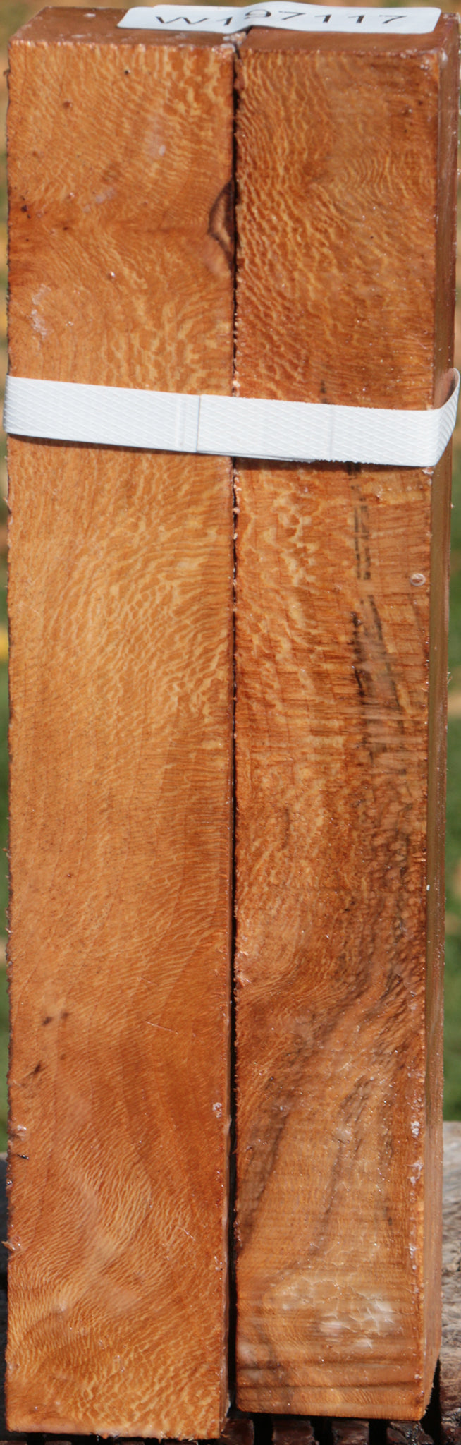 Sycamore Turning Square 2 Pack