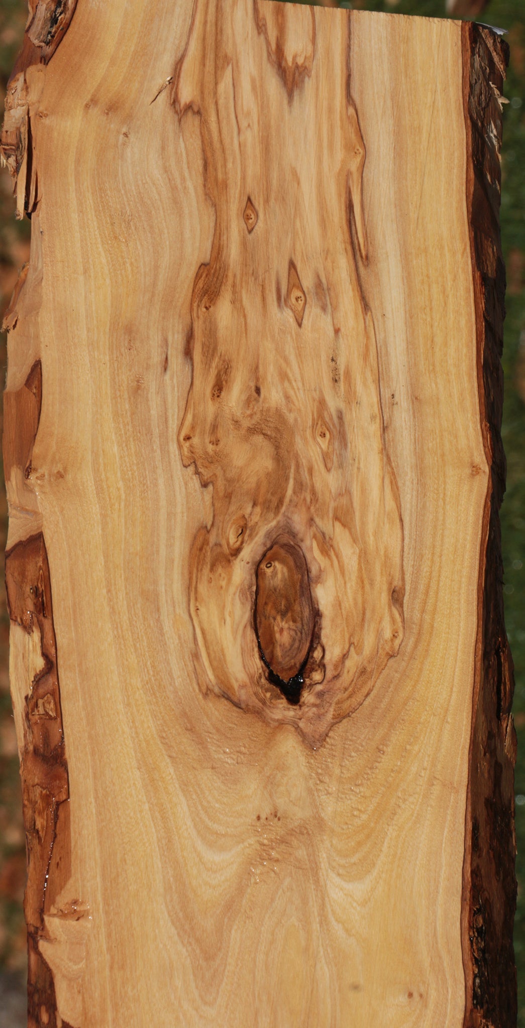 Italian Olive Live Edge Lumber