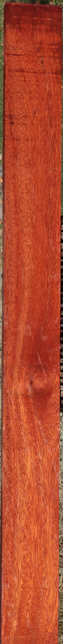 Bloodwood Lumber