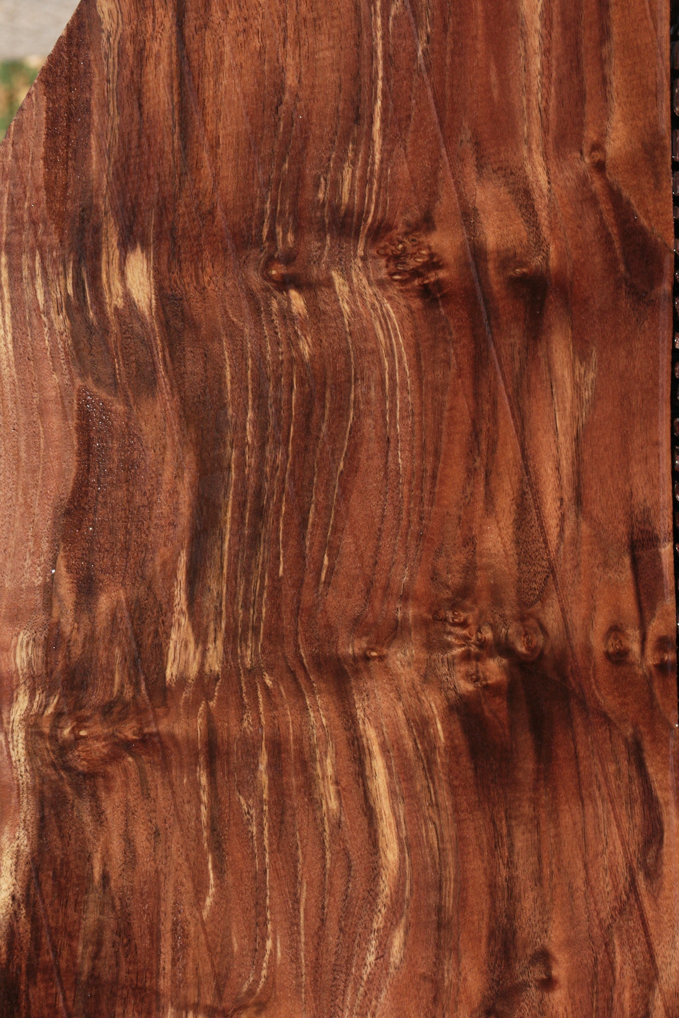 Claro Walnut Live Edge Lumber