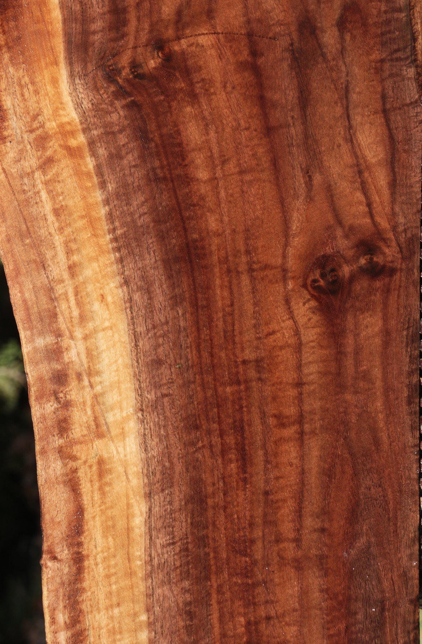 Claro Walnut Live Edge Lumber