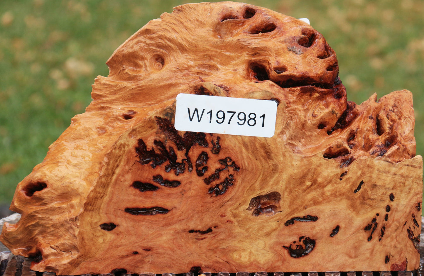 Red River Gum Burl Live Edge Lumber
