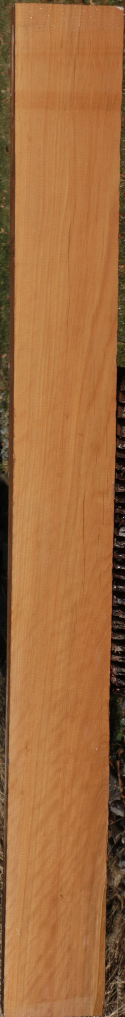Exhibition Fiddleback Castello Boxwood Lumber