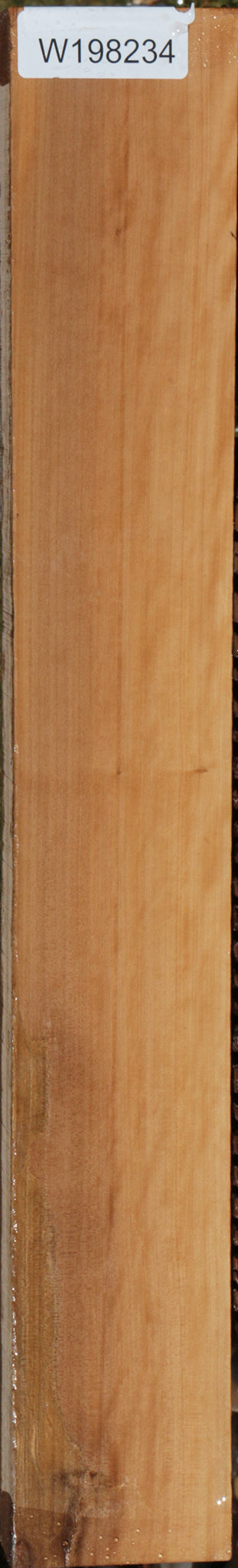 Fiddleback Castello Boxwood Lumber