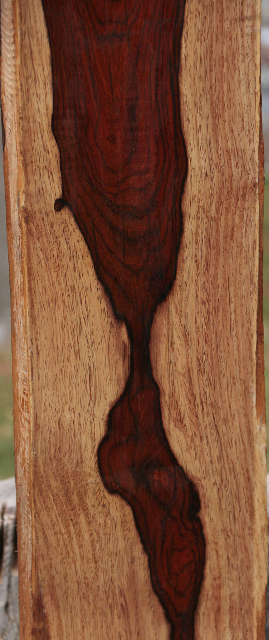 Cocobolo Lumber