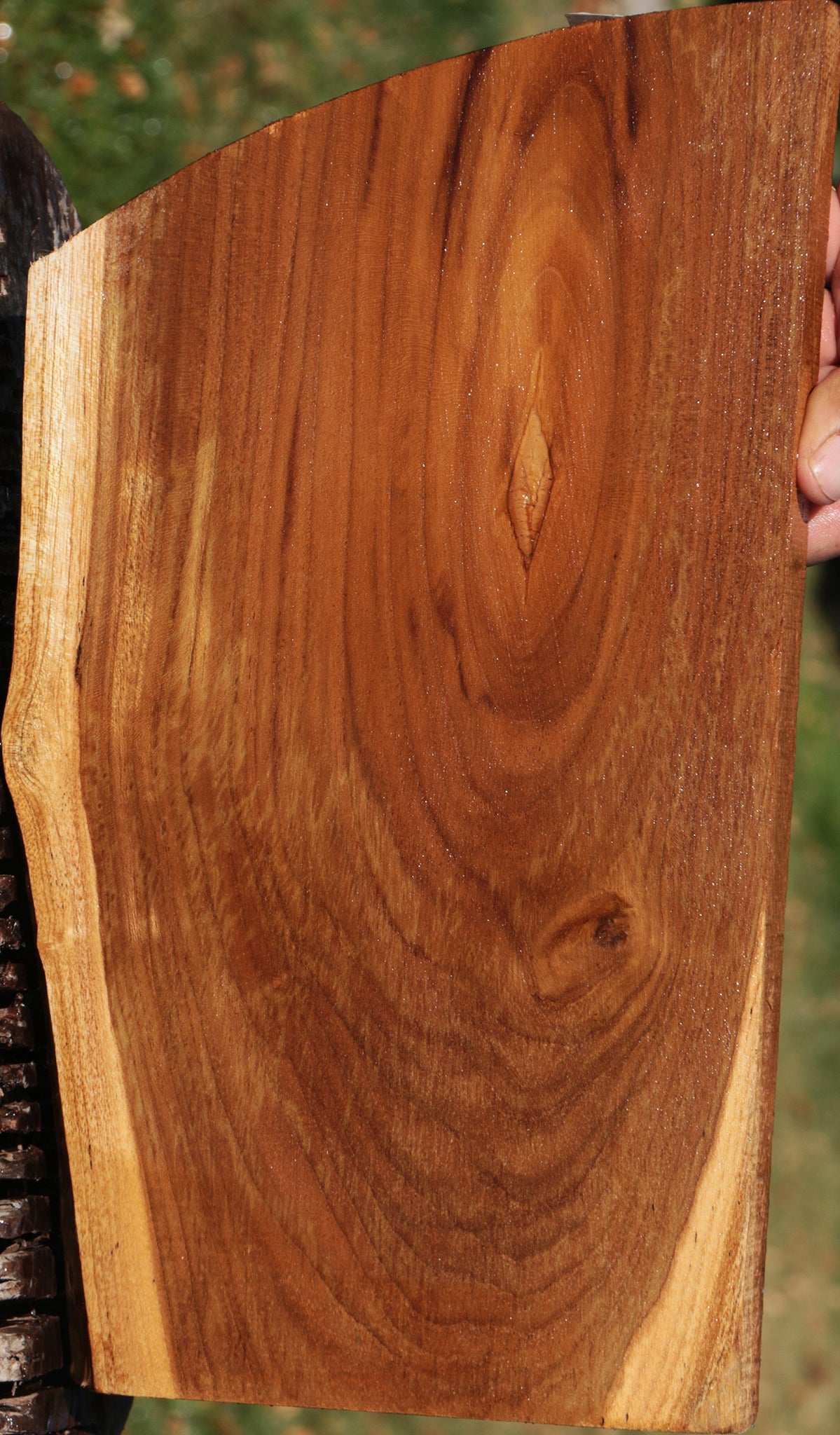 Figured Teak Live Edge Lumber