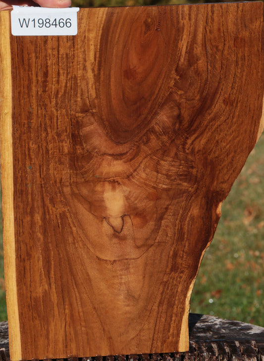 Figured Crotchwood Teak Live Edge Lumber