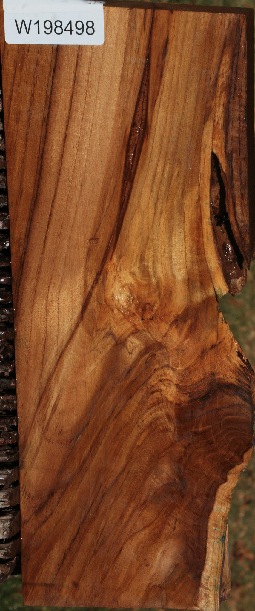 Figured Crotchwood Teak Live Edge Lumber
