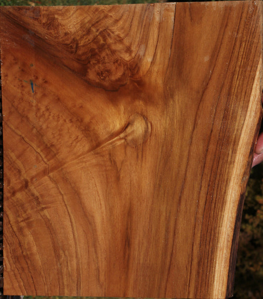 Figured Fiddleback Crotchwood Teak Live Edge Lumber
