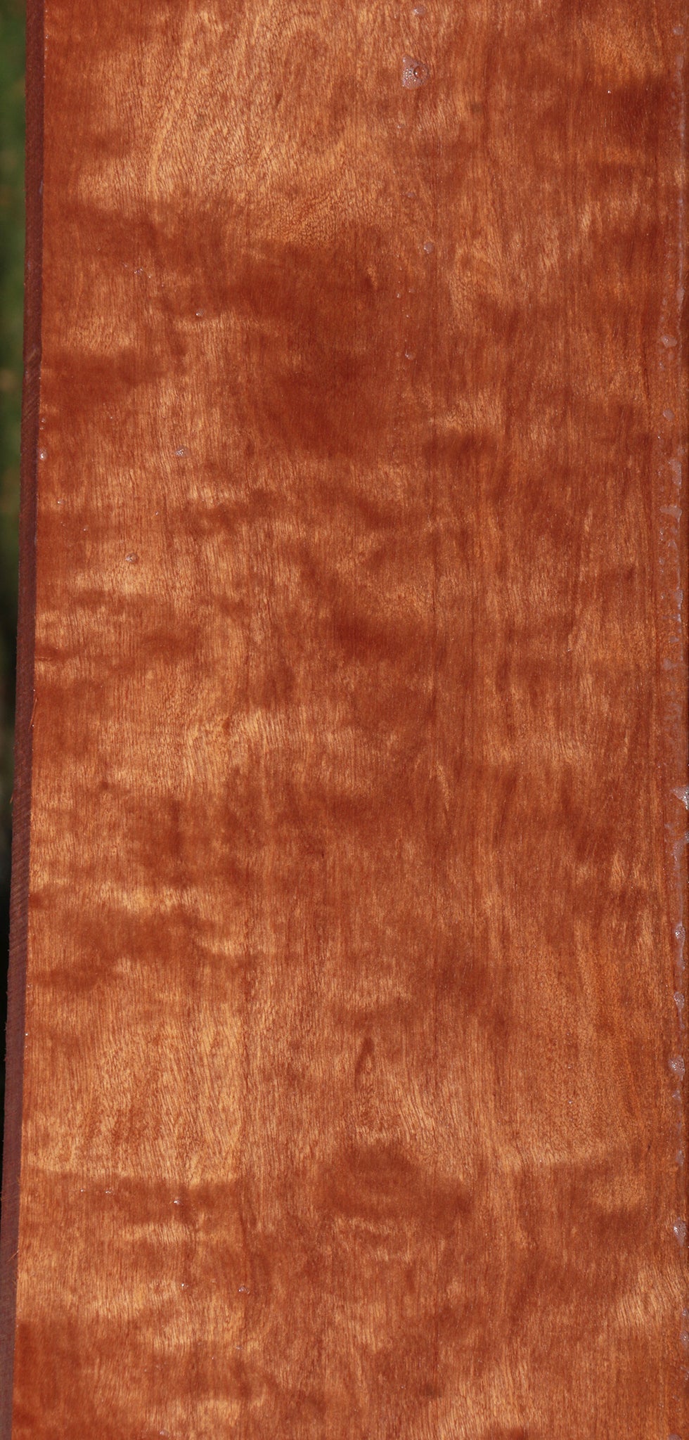 Extra Fancy Curly Makore Lumber