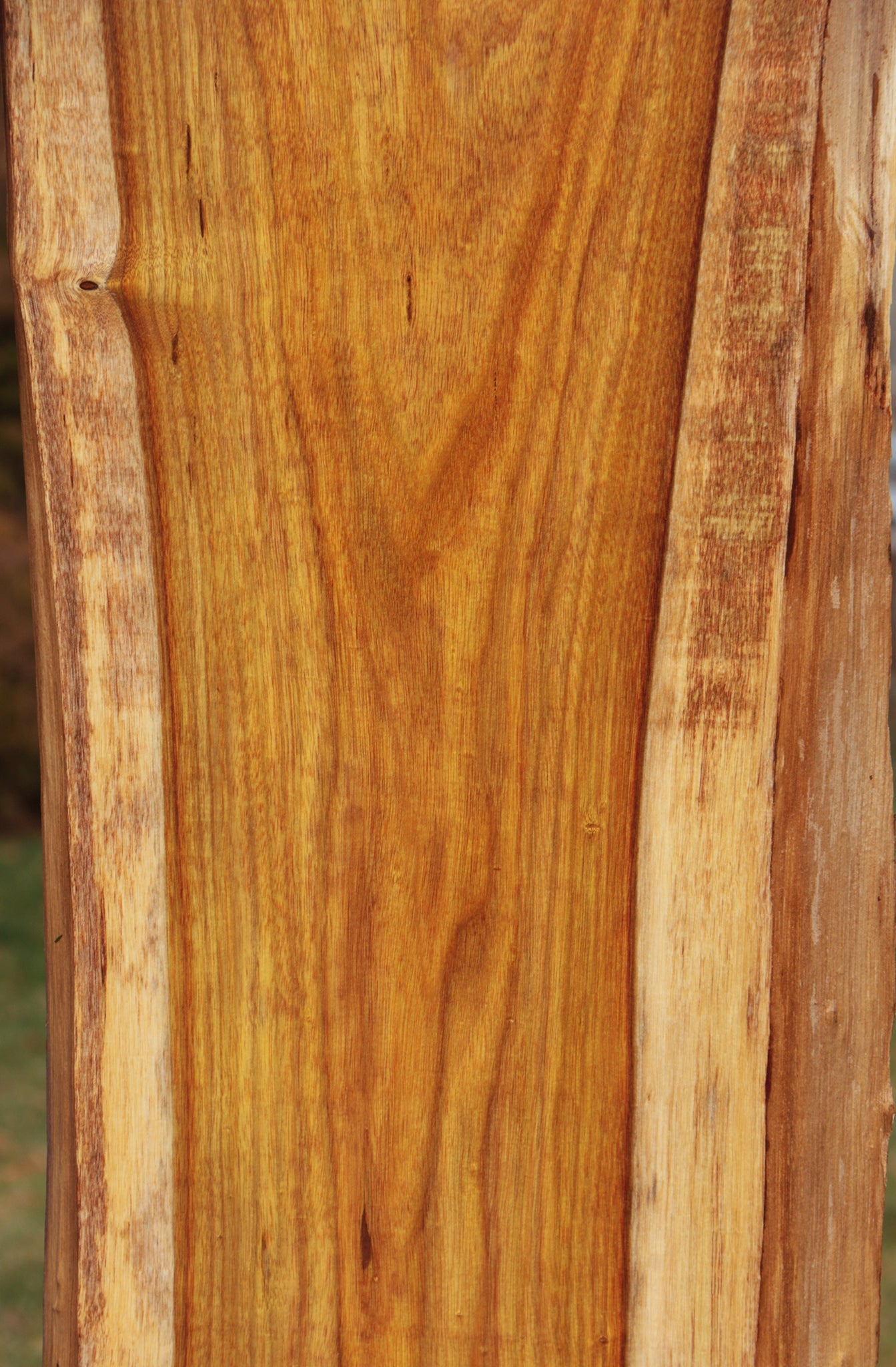 Canary Live Edge Lumber