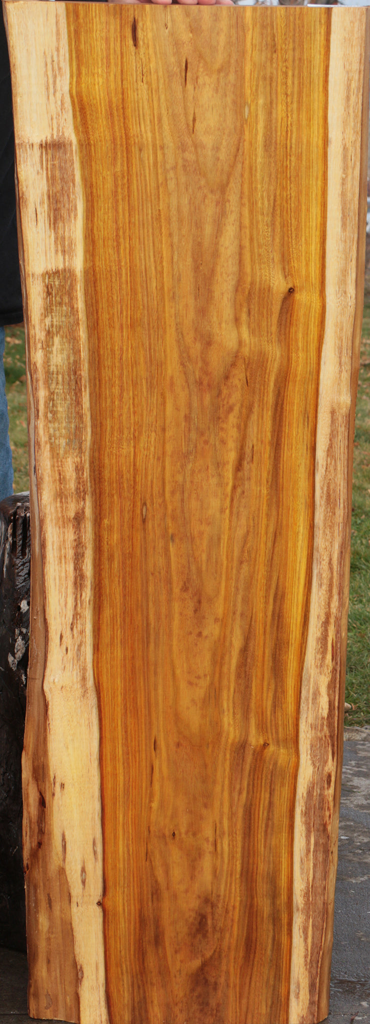 Canary Live Edge Lumber