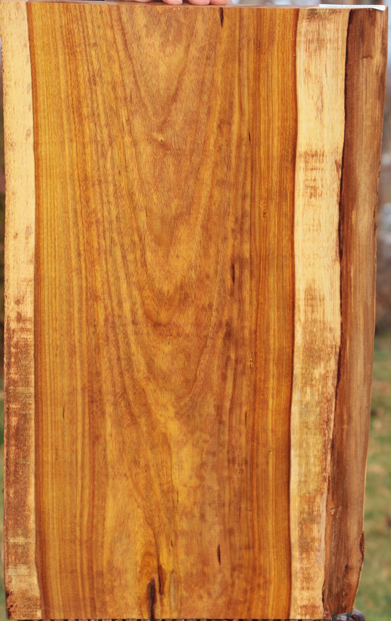 Canary Live Edge Lumber