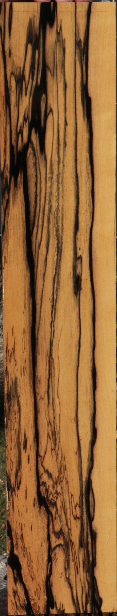 Black & White Ebony Instrument Lumber