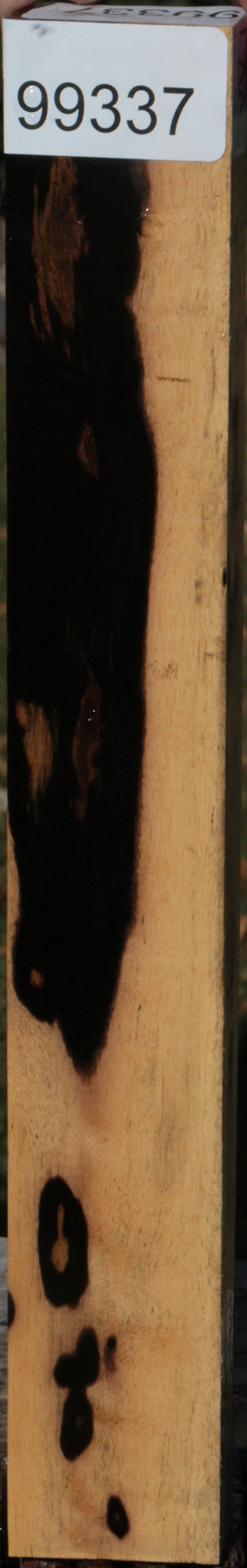 Black & White Ebony Lumber